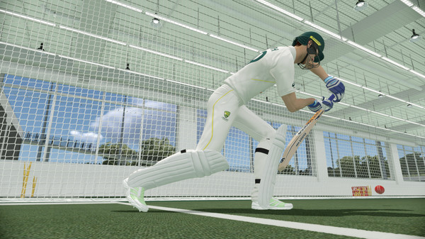 Cricket 22