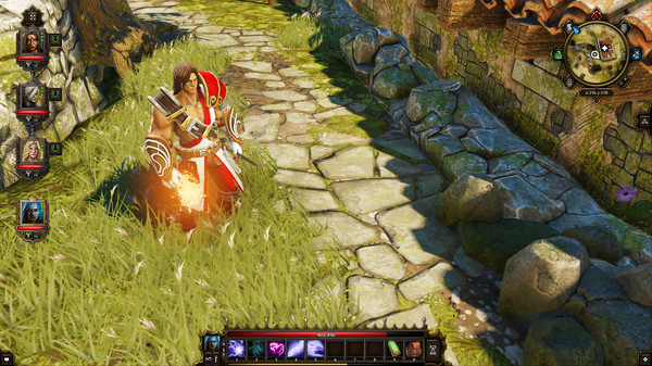 Divinity Original Sin Enhanced Edition