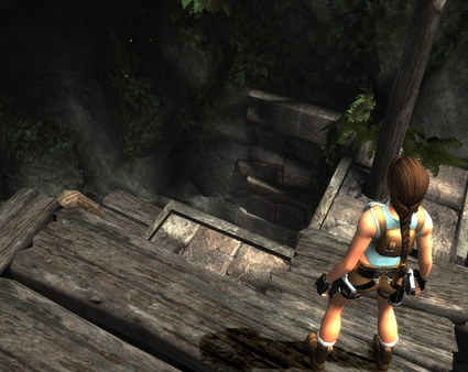 Tomb Raider Anniversary